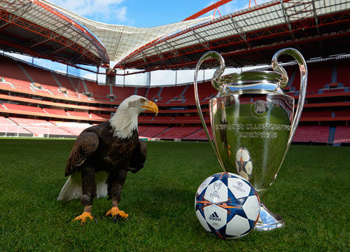 应让球迷稍 应让球迷稍