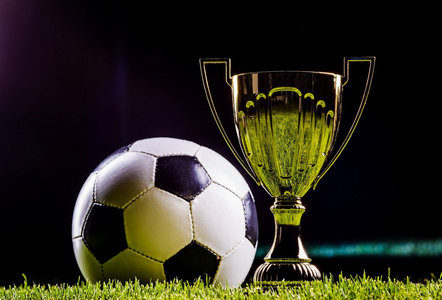 个人冠军 个人冠军